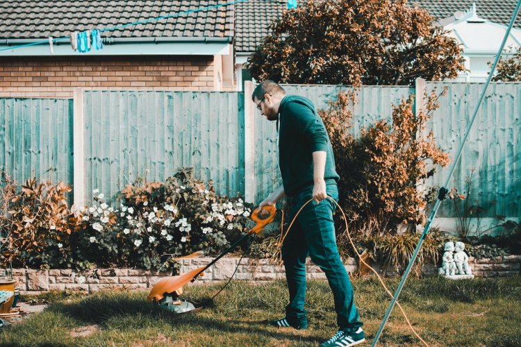 10 Tools You Need If You Do Your Own Landscaping