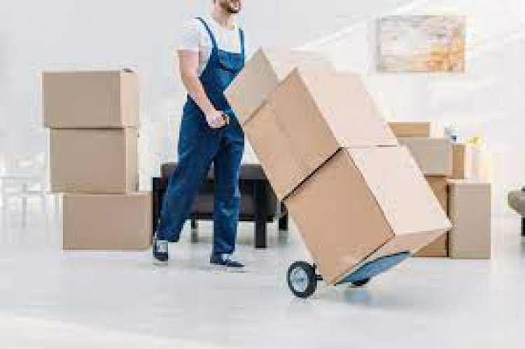 How Local Movers in Dubai can Make Your Moving a Breeze