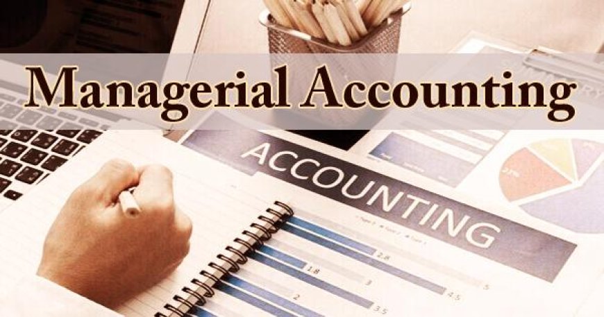 How to Write a Managerial Accounting Dissertation?