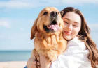 The Psychological Benefits of Being a Pet Owner