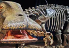 What Dinosaur Has 500 Teeth?