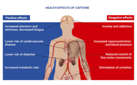 Does Caffeine Affect the Sexual Health of Males?