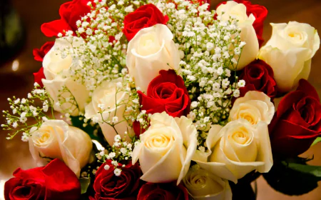 The 9 Best Birthday Flowers To Gift To Your Sister