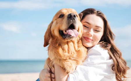 The Psychological Benefits of Being a Pet Owner