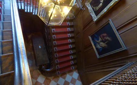 Pros and Cons of Stair Carpet