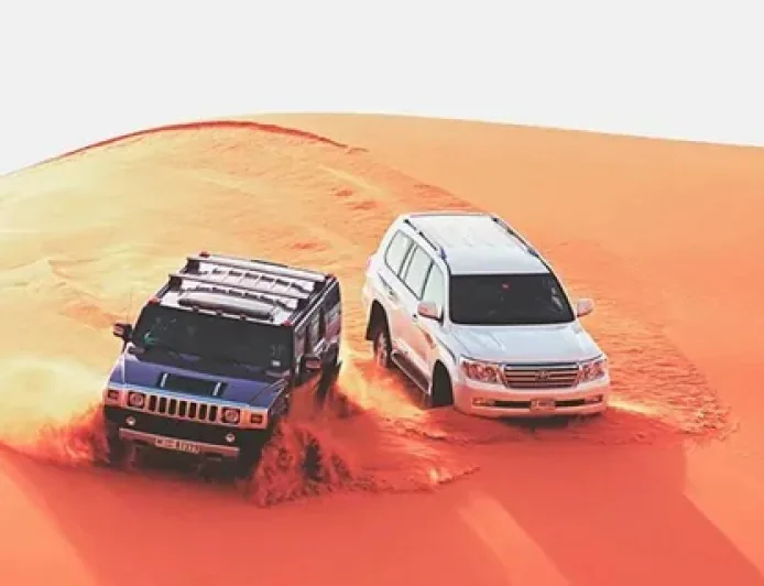 Trip to Desert Safari Dubai