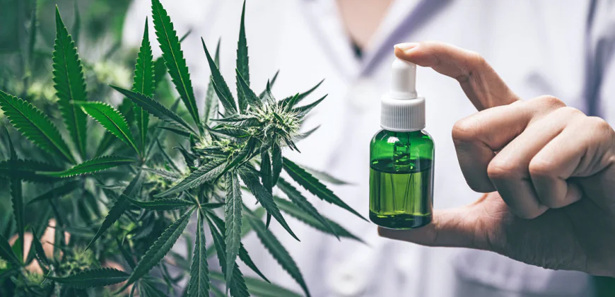 The Decent and Suitable Hemp Boxes for Your Hemp Oil