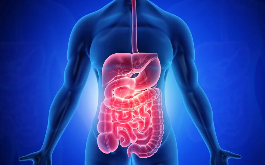 Unlocking Gut Health: The Key to Overall Wellness