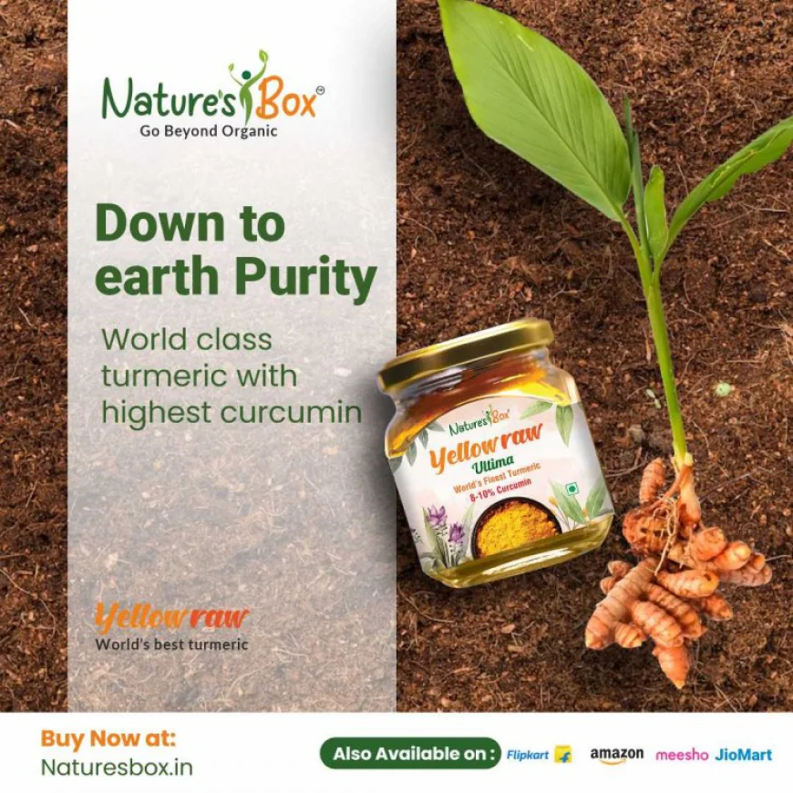 What compels Lakadong turmeric the world's best turmeric powder?