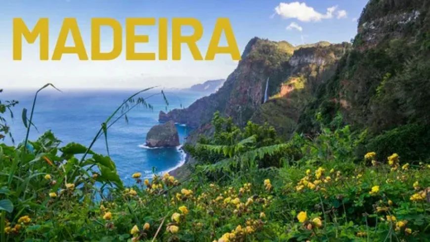 Must-Dos If You Travel to Madeira