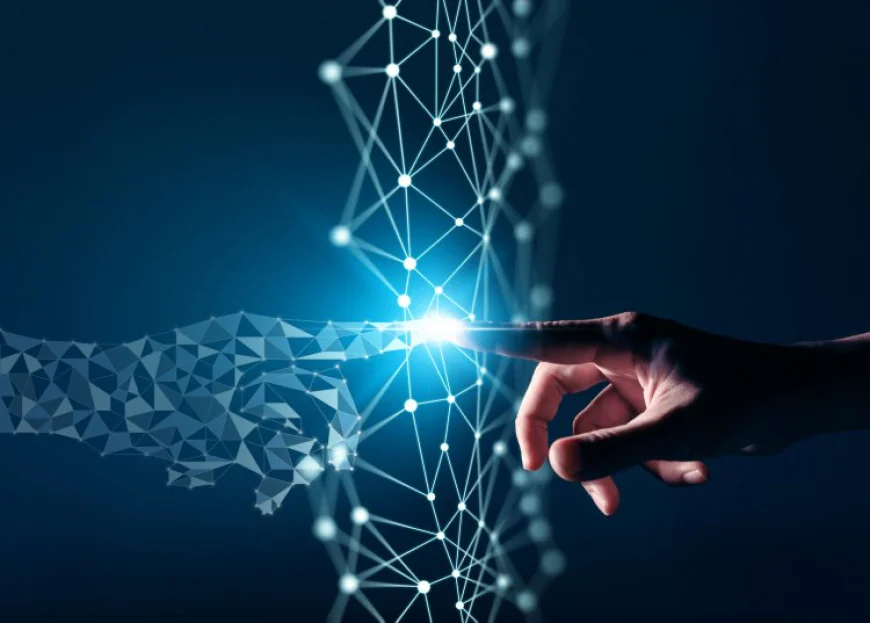 How Animations Are Transforming The Digital World?