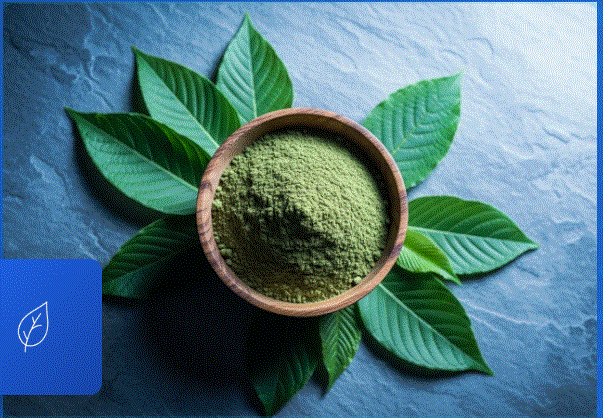 Kratom Merchant Account: Reliable Payment Processing for Kratom Businesses