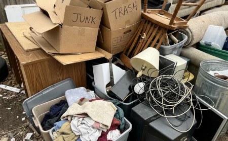 Professional Junk Removal Service | Wilsa Junk Removal