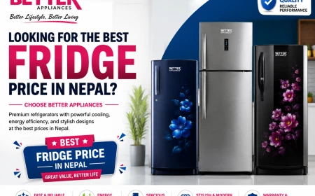 Fridge Price in Nepal: A Practical Guide to Choosing the Right Refrigerator