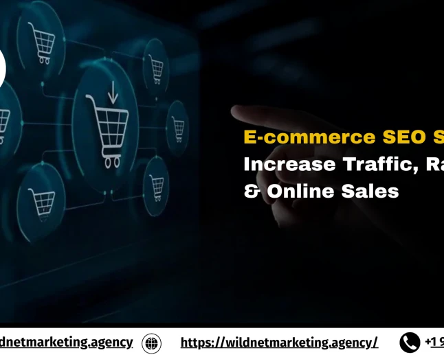 E-commerce SEO Services: Increase Traffic, Rankings & Online Sales