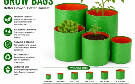 Top Benefits of Using Grow Bags for Healthy Plant Growth