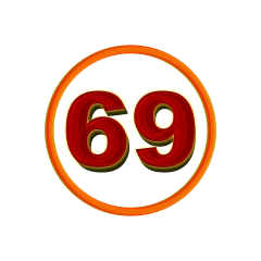 69india